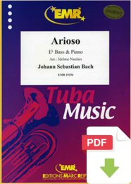 Arioso - Johann Sebastian Bach - Jérôme Naulais