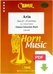 Aria - Johann Sebastian Bach - Jérôme Naulais