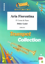 Aria Fiorentina - Didier Godel