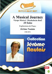 A Musical Journey - Jérôme Naulais