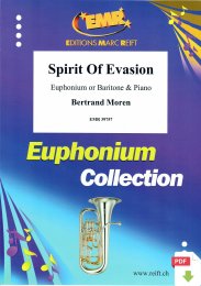 Spirit Of Evasion - Bertrand Moren