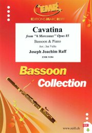 Cavatina - Joseph Joachim Raff - Jan Valta