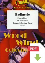 Badinerie - Johann Sebastian Bach - Jérôme...