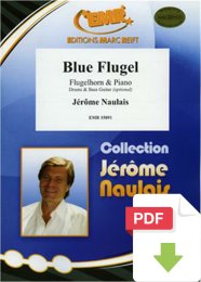 Blue Flugel - Jérôme Naulais
