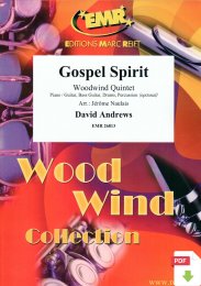 Gospel Spirit - David Andrews - Jérôme Naulais