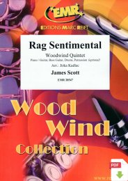 Rag Sentimental - James Scott - Jirka Kadlec