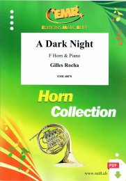 A Dark Night - Gilles Rocha