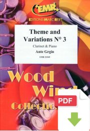 Theme and Variations N° 3 - Ante Grgin
