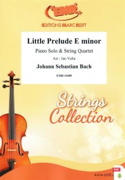 Little Prelude E minor - Johann Sebastian Bach - Jan Valta
