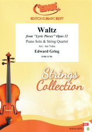 Waltz - Edward Grieg - Jan Valta