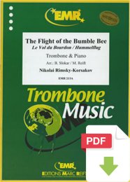 The Flight Of The Bumble Bee - Nikolaï...