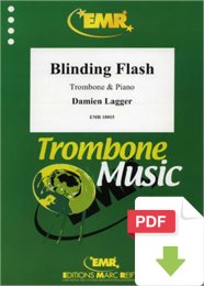 Blinding Flash - Damien Lagger