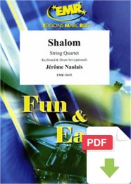 Shalom - Jérôme Naulais