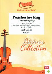 Peacherine Rag - Scott Joplin - Jirka Kadlec
