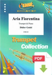 Aria Fiorentina - Didier Godel