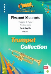 Pleasant Moments - Scott Joplin - Jirka Kadlec