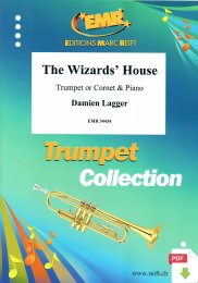 The Wizards House - Damien Lagger