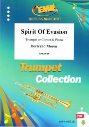Spirit Of Evasion - Bertrand Moren