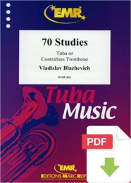 70 Studies - Vladislav Blazhevich