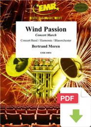 Wind Passion - Bertrand Moren