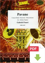 Pavane - Gabriel Faure - Jérôme Naulais