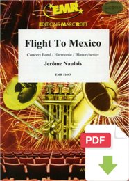 Flight To Mexico - Jérôme Naulais