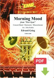 Morning Mood - Edvard Grieg - Jirka Kadlec