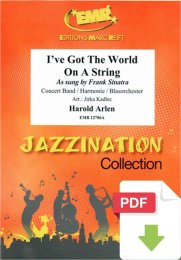 Ive Got The World On A String - Harold Arlen - Jirka Kadlec