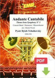 Andante Cantabile - Pyotr Ilyich Tchaikovsky - Michal Worek