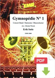 Gymnopédie N° 1 - Erik Satie - Michal Worek