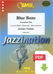 Blue Bone - Jérôme Naulais