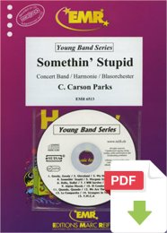 Somethin Stupid - Carson Parks - Scott Richards