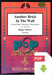 Another Brick In The Wall - Roger Waters - Jan Valta