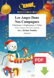 Les Anges Dans Nos Campagnes - Jérôme...