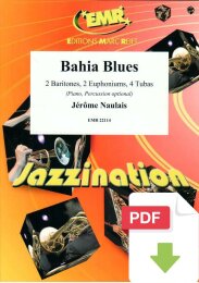 Bahia Blues - Jérôme Naulais