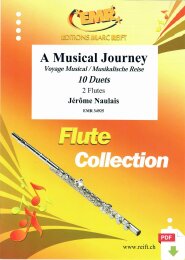 A Musical Journey - Jérôme Naulais