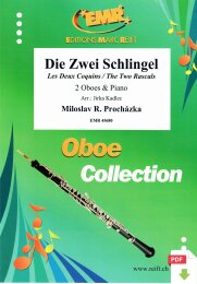 Die Zwei Schlingel - Miloslav R. Prochazka - Jirka Kadlec