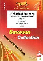 A Musical Journey - Jérôme Naulais