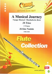 A Musical Journey - Jérôme Naulais