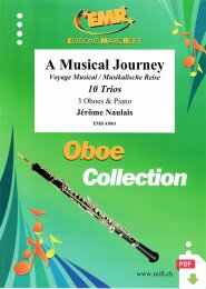 A Musical Journey - Jérôme Naulais