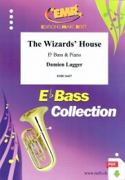 The Wizards House - Damien Lagger