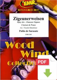 Zigeunerweisen - Pablo Sarasate De - Timofei Dokshitser
