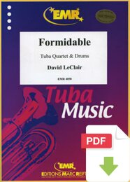 Formidable - David Leclair