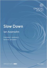 Ian Assersohn: Slow Down - Ian Assersohn