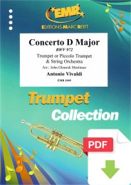 Concerto D Major - Antonio Vivaldi - Glenesk John Mortimer