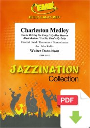 Charleston Medley - Walter Donaldson - Jirka Kadlec