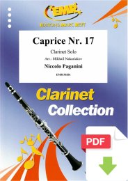 Caprice No. 17 - Niccolò Paganini - Mikhail...