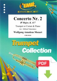 Concerto No. 2 - Wolfgang Amadeus Mozart - Mikhail...