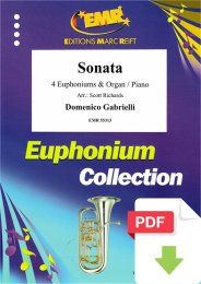 Sonata - Domenico Gabrieli - Scott Richards