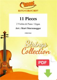 11 Pieces - Kurt Sturzenegger